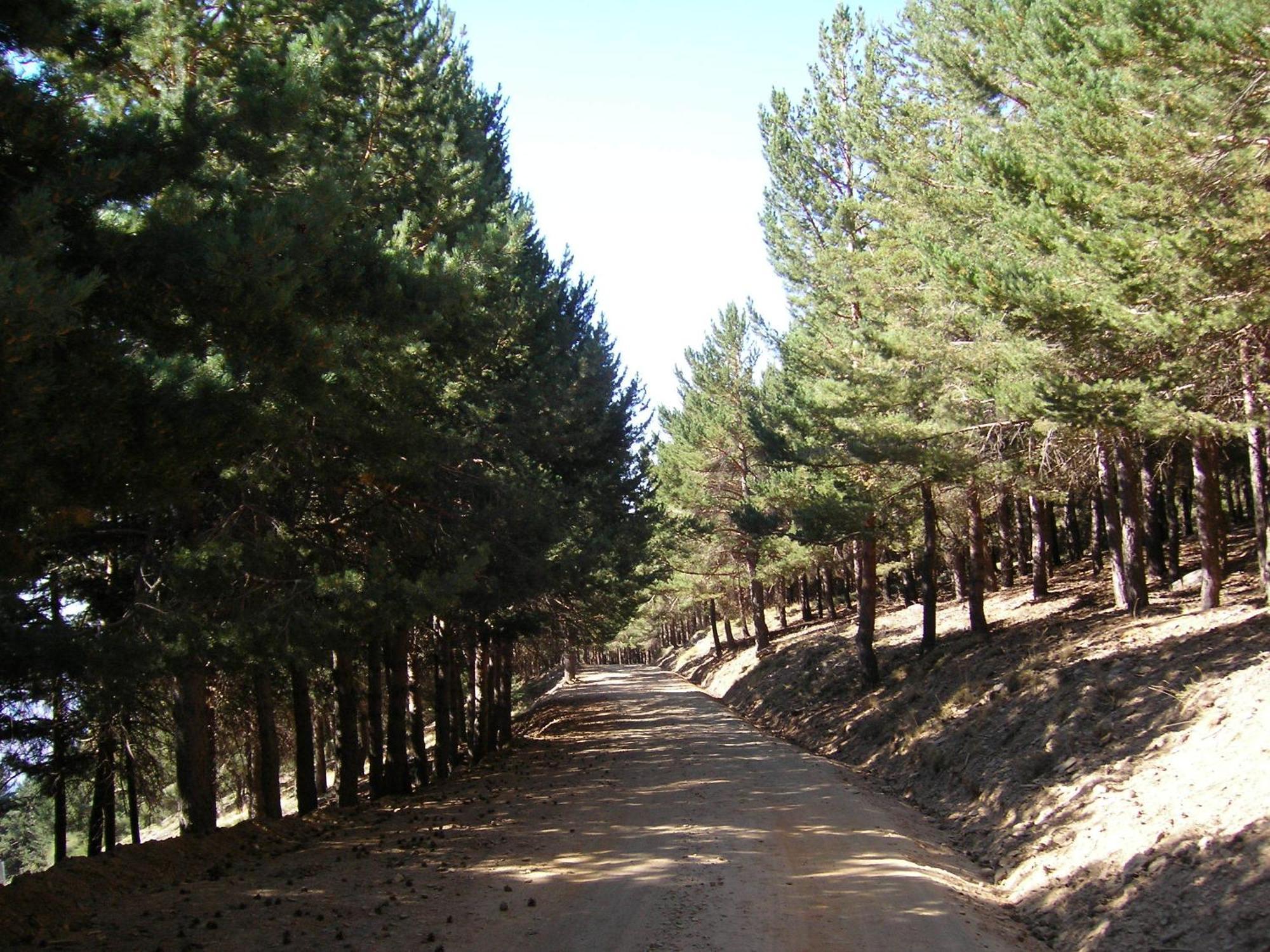 Hostal Rural Poqueira Капилейра Экстерьер фото